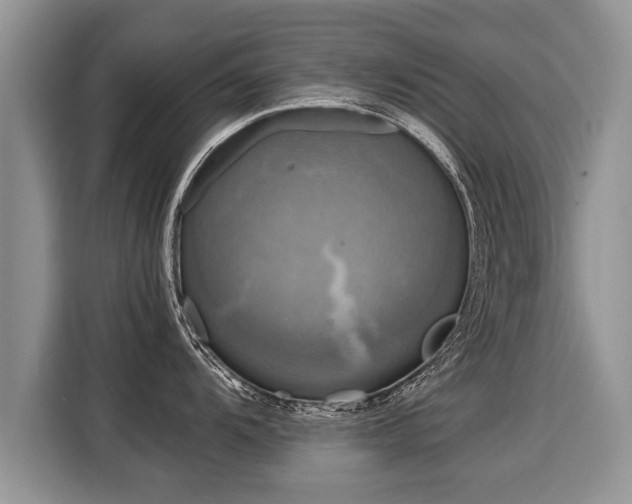 X0000116021104200911271111