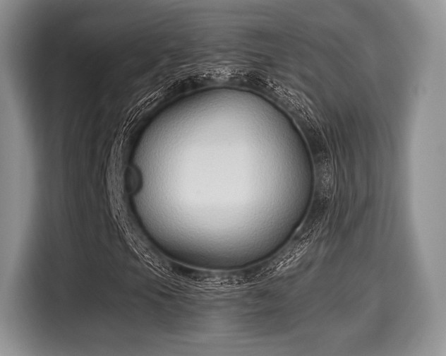 X0000116021105200911271110