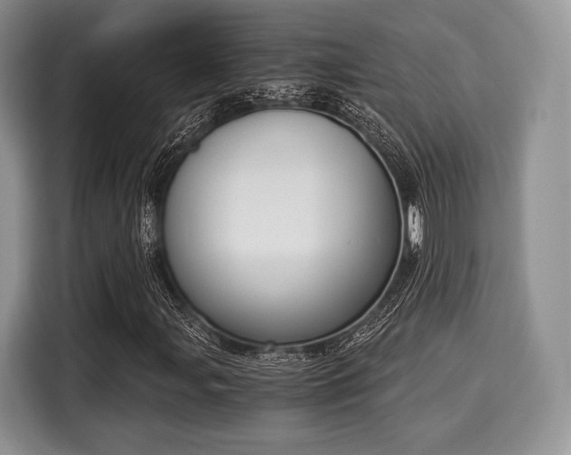 X0000116021107200911271110