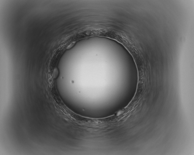 X0000116021109200911271110