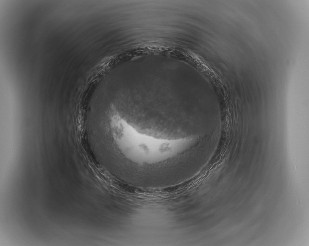 X0000116021110200911271110