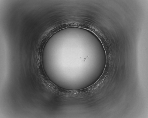 X0000116021111200911271110