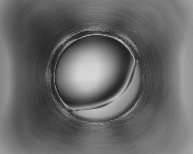 X0000116021114200911271110