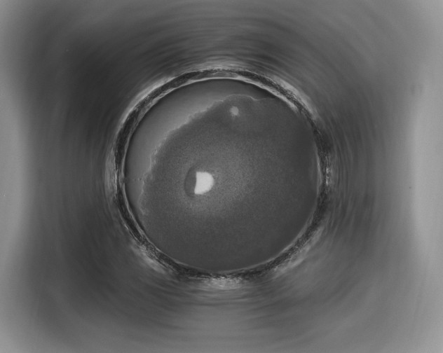 X0000116021117200911271110