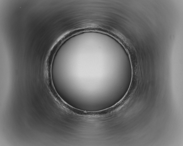 X0000116021118200911271110