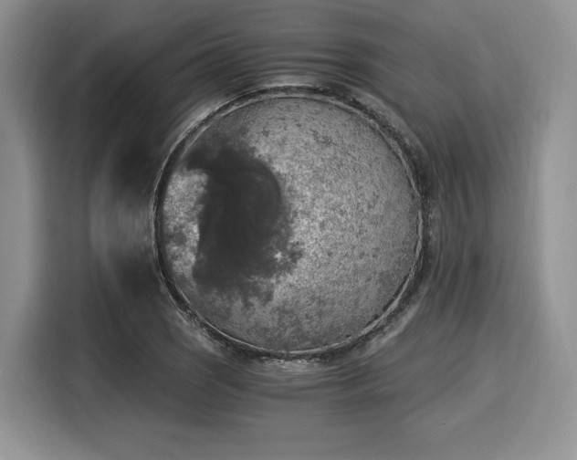 X0000116021121200911271110