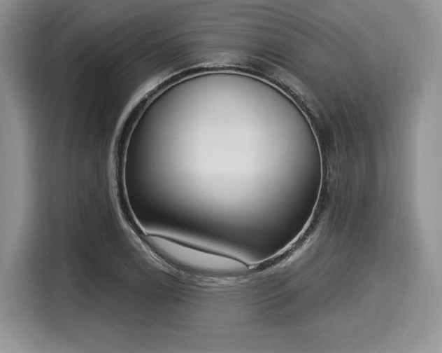 X0000116021122200911271110