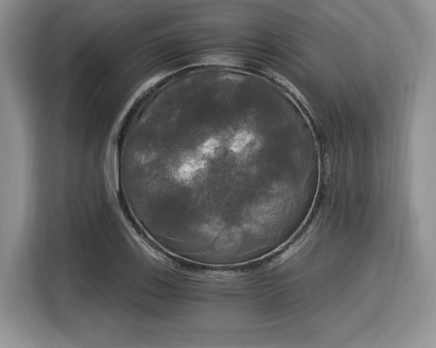 X0000116021123200911271110