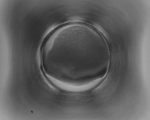 X0000116021127200911271110