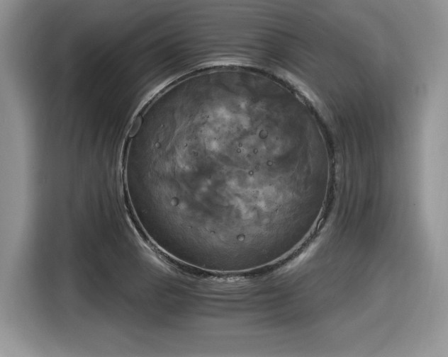 X0000116021129200911271110