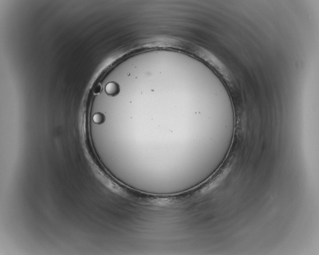 X0000116021130200911271110