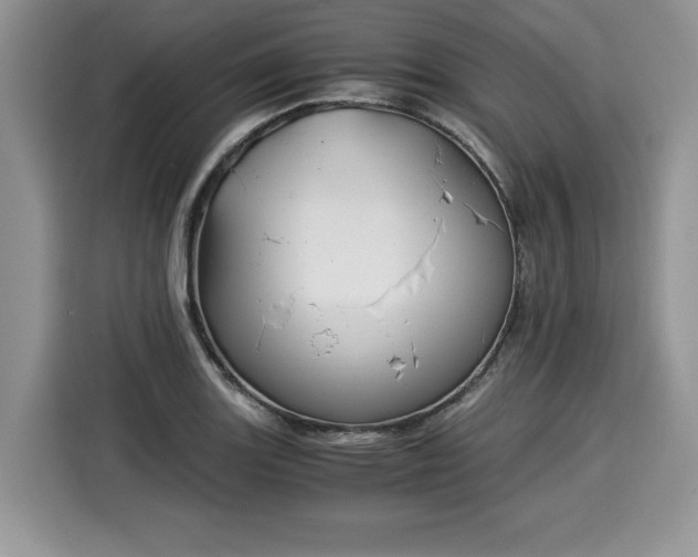 X0000116021131200911271110