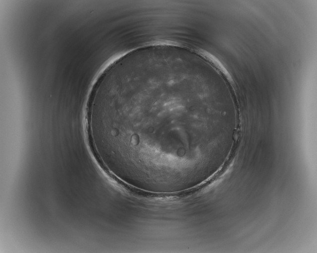 X0000116021133200911271111