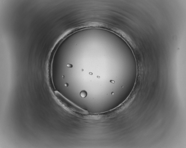 X0000116021134200911271111