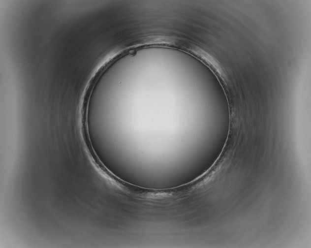 X0000116021135200911271111