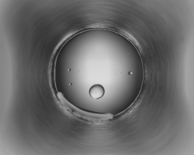 X0000116021138200911271111