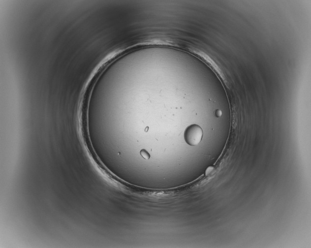 X0000116021139200911271111