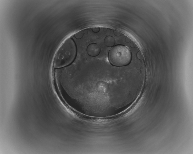 X0000116021141200911271111