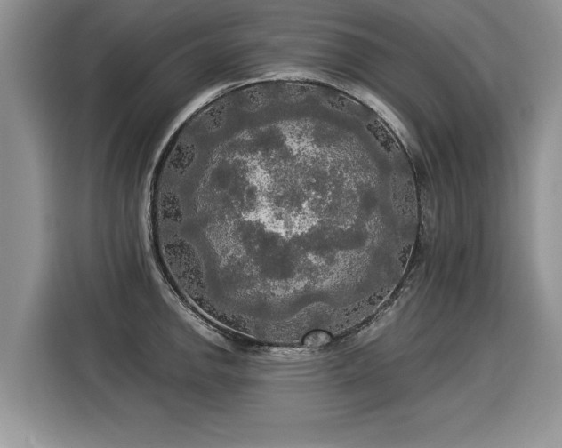 X0000116021142200911271111