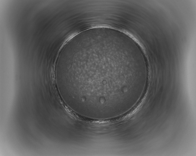 X0000116021145200911271111