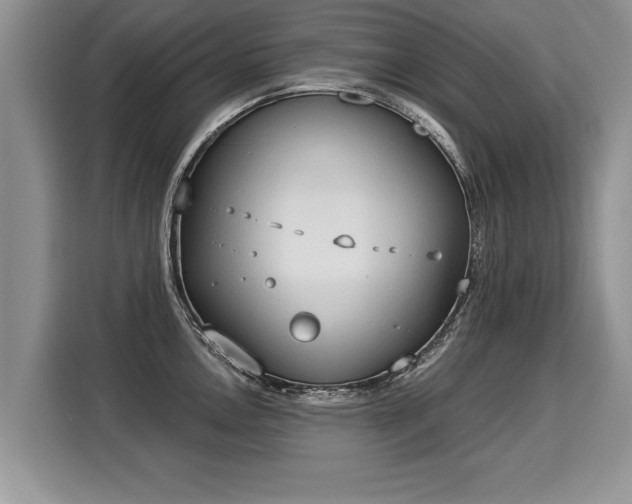 X0000116021146200911271111