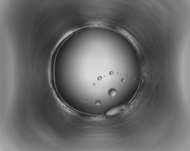 X0000116021147200911271111