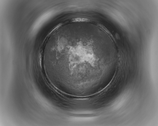 X0000116021151200911271111