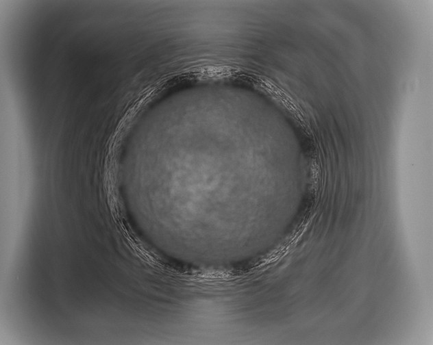 X0000116021153200911271110