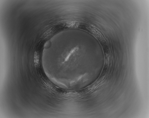 X0000116021154200911271110