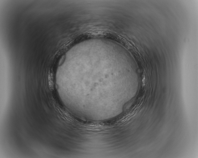 X0000116021156200911271110