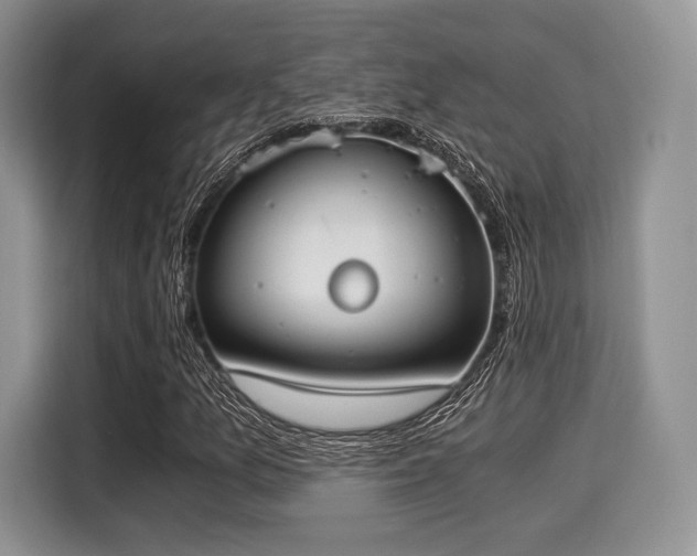 X0000116021157200911271110