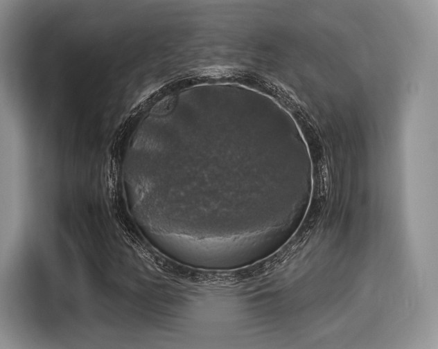 X0000116021158200911271110