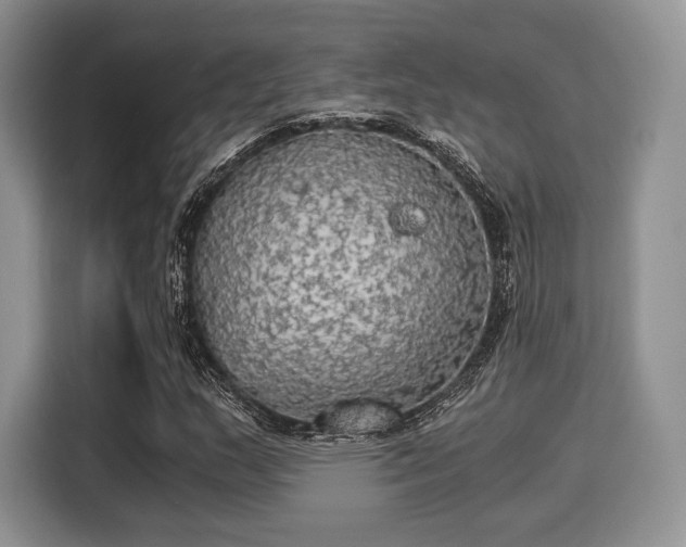 X0000116021159200911271110