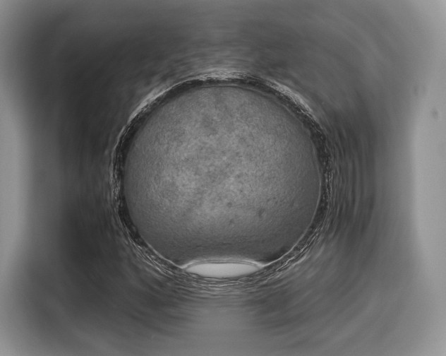 X0000116021160200911271110