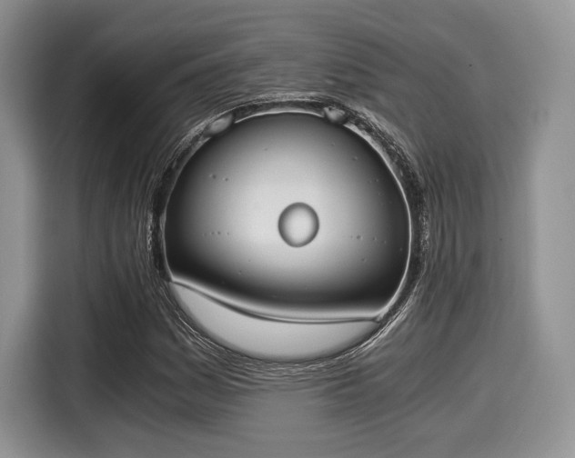 X0000116021161200911271110