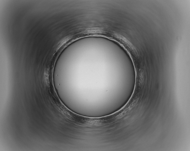 X0000116021162200911271110