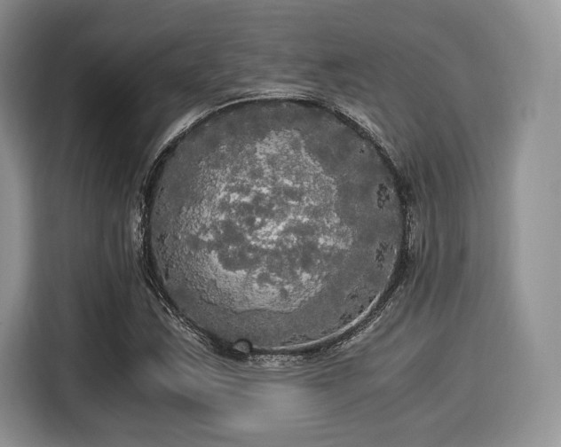 X0000116021163200911271110