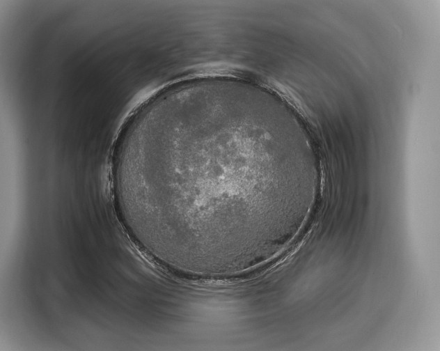 X0000116021164200911271110