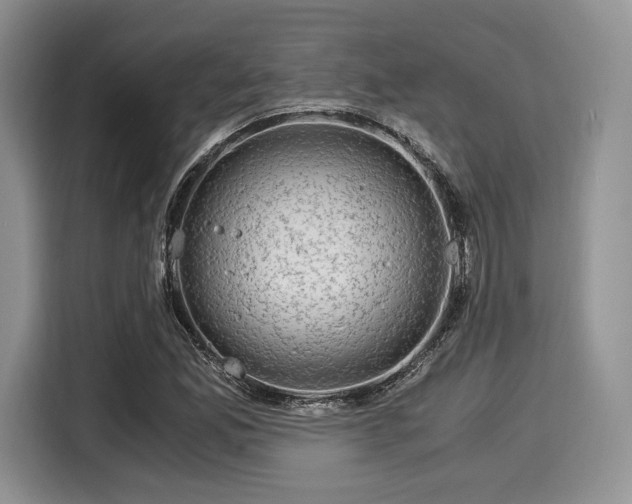 X0000116021165200911271110