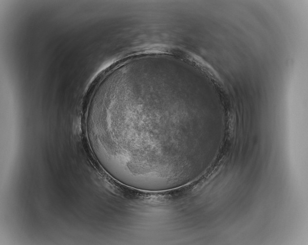 X0000116021166200911271110