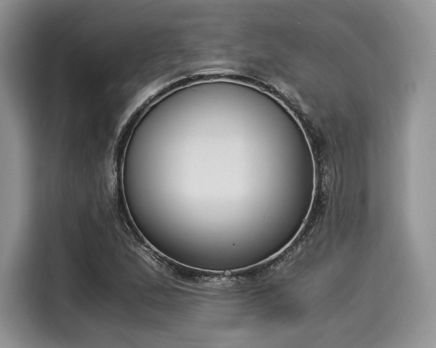 X0000116021167200911271110