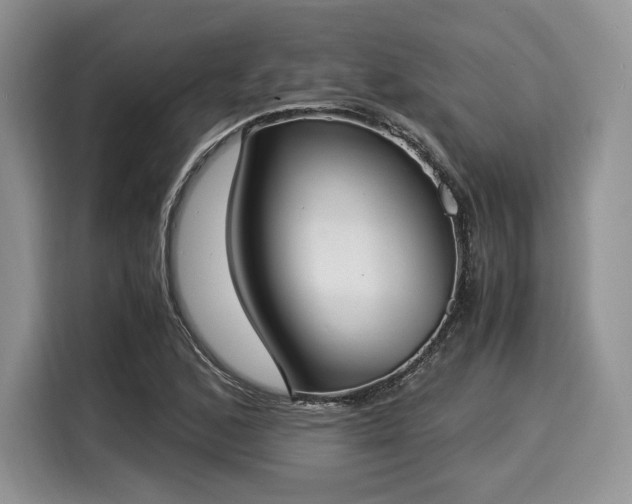 X0000116021168200911271110