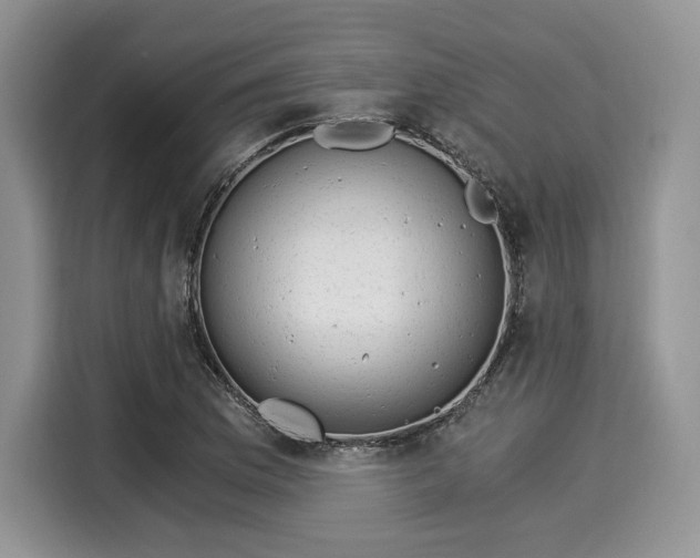 X0000116021169200911271110