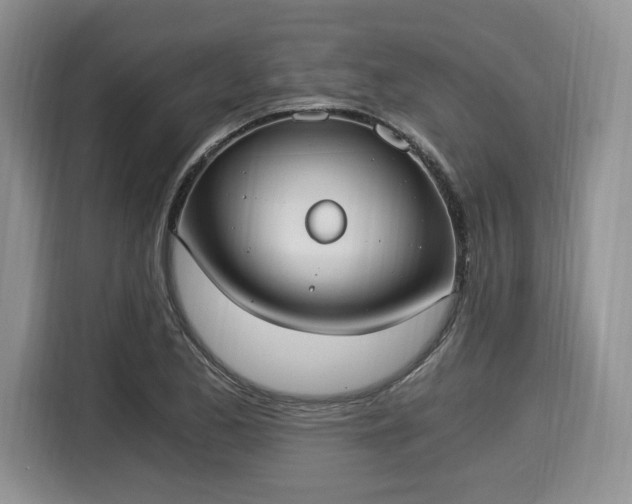 X0000116021173200911271110