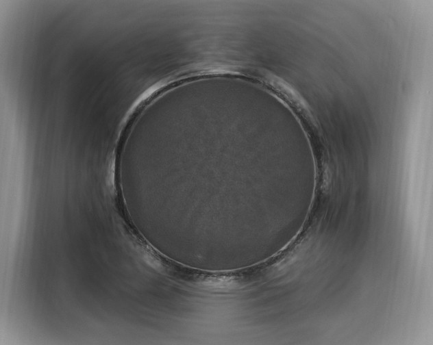 X0000116021174200911271110