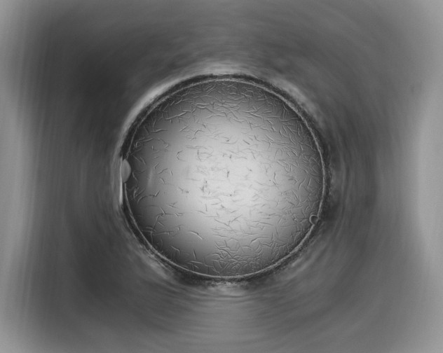 X0000116021175200911271110