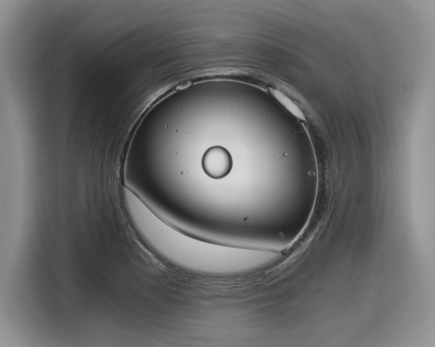 X0000116021177200911271110