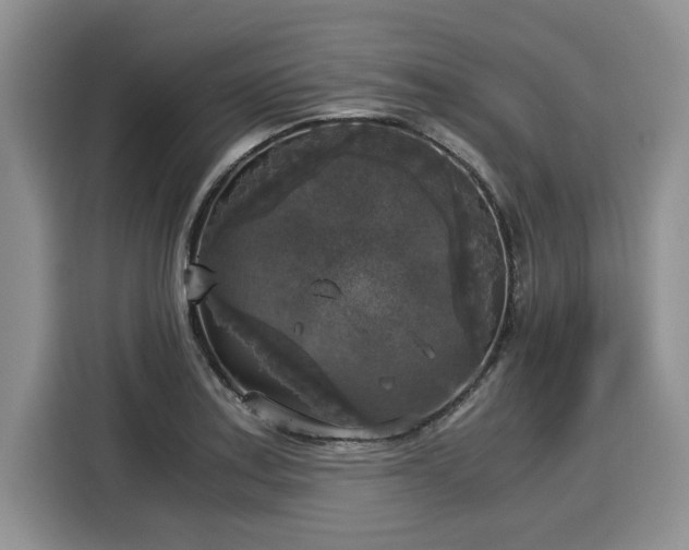 X0000116021179200911271110