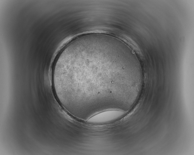 X0000116021180200911271110