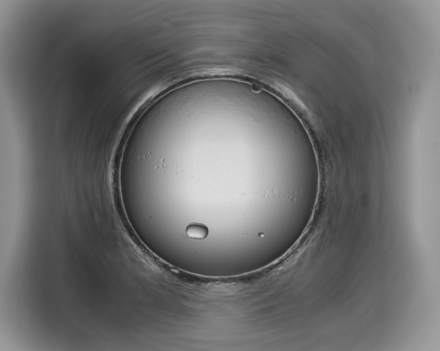 X0000116021181200911271110